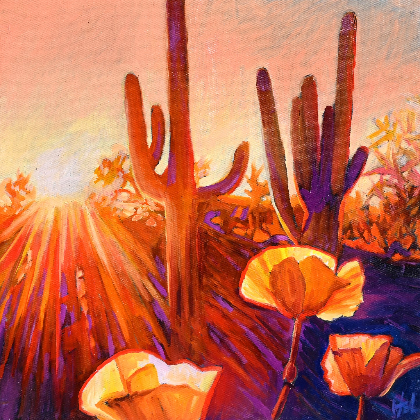 Desert Sun