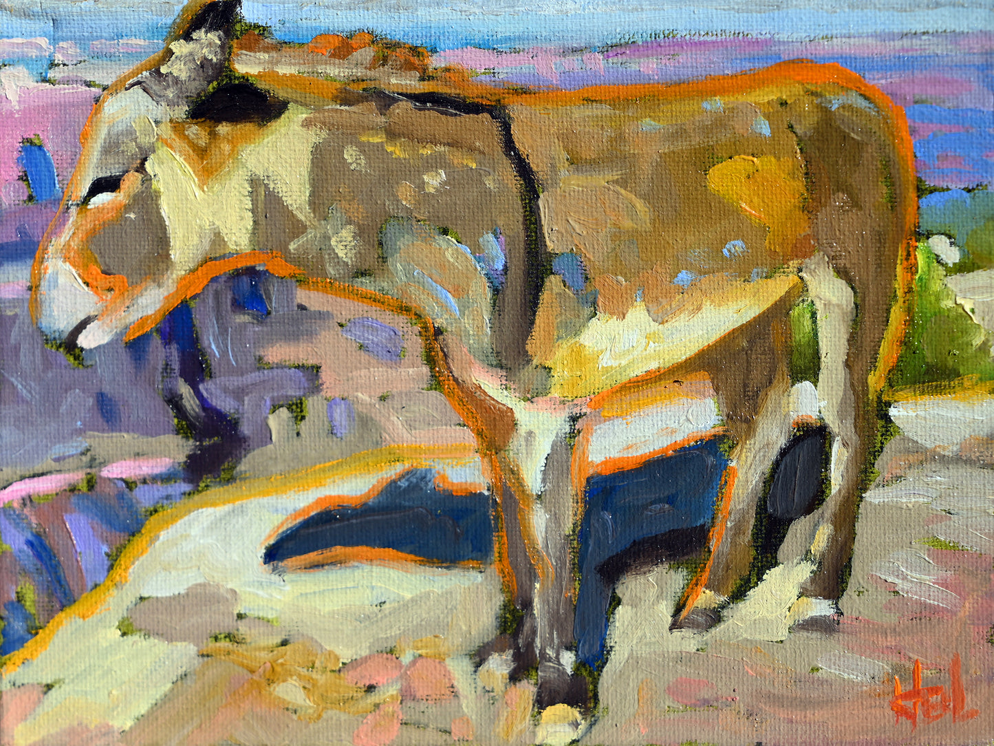 Grand Canyon Burro