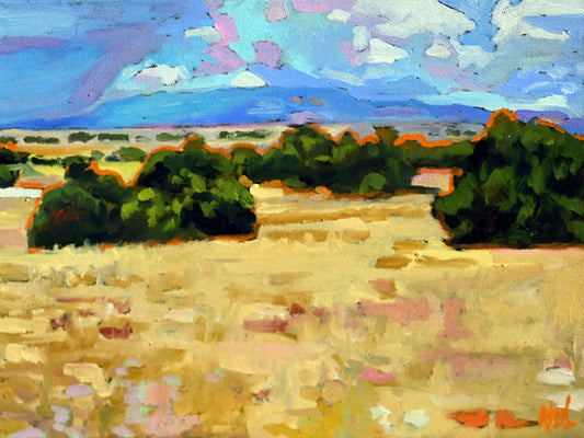High Desert Monsoon Study