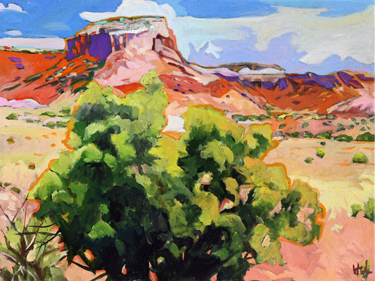 Sedona View
